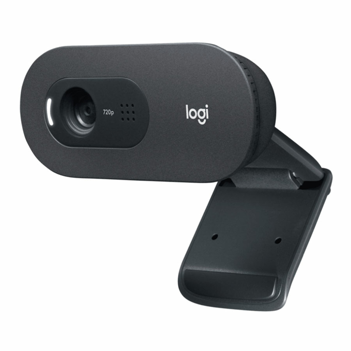 وب کم لاجیتک C505E HD Logitech C505E HD Webcam